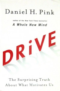 Drive : The Surprising Truth About What Motivates Us